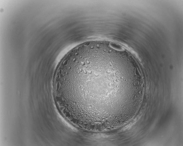 X0000060761239200511171140