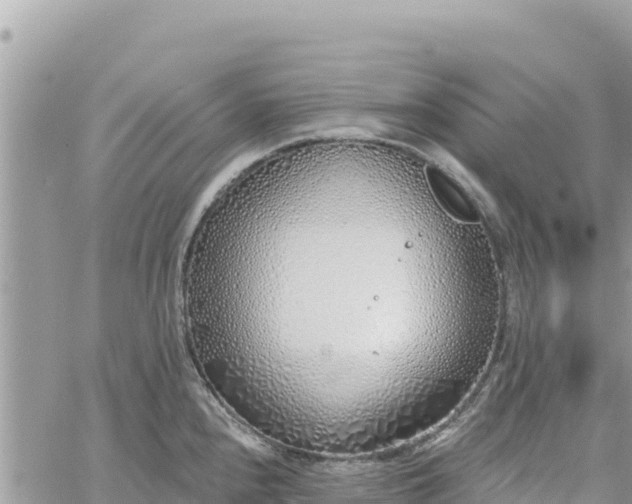 X0000060761240200511171140