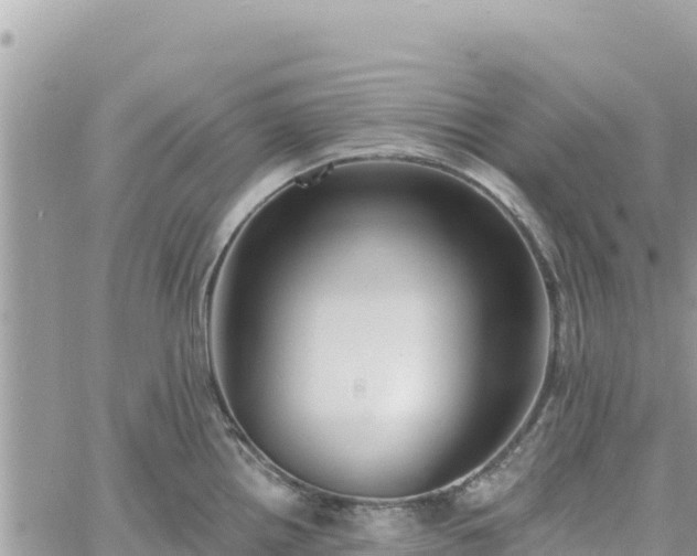 X0000060761242200511171140