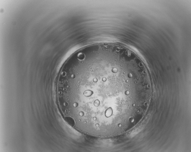 X0000060761243200511171140