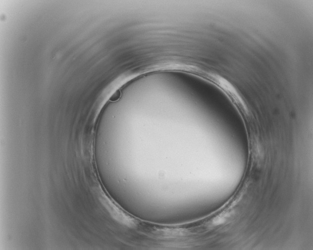 X0000060761244200511171140