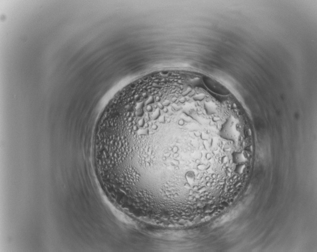 X0000060761245200511171140