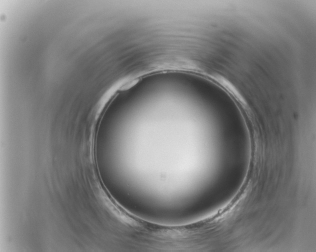 X0000060761246200511171140