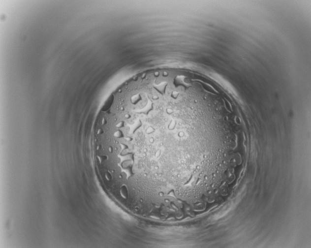 X0000060761247200511171140