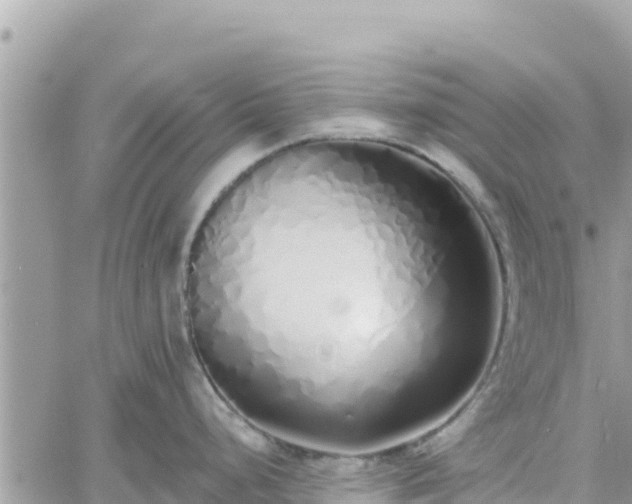 X0000060761248200511171140