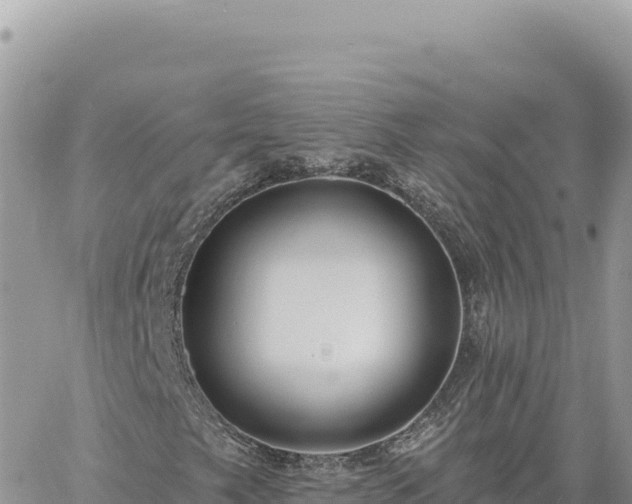 X0000060761249200511171139