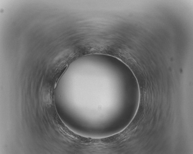 X0000060761250200511171139