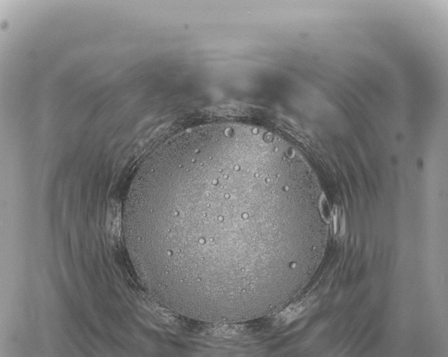 X0000060761251200511171139