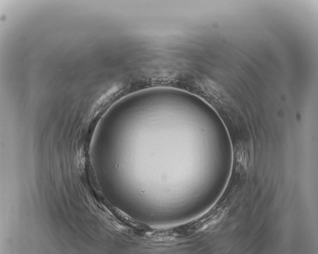 X0000060761252200511171139