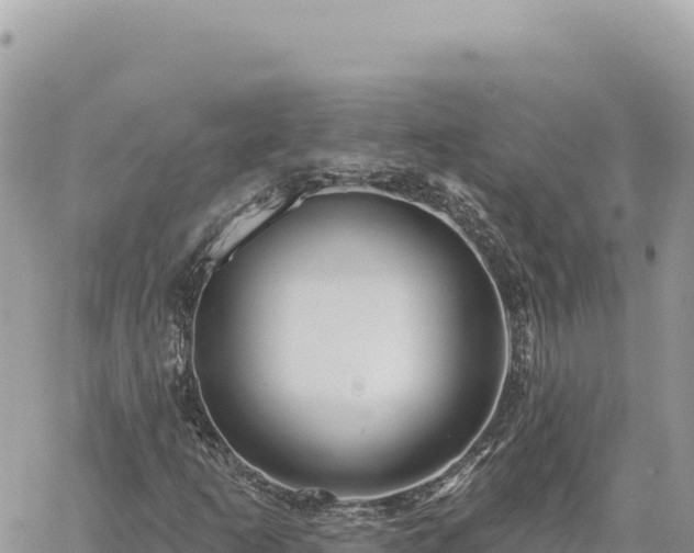 X0000060761253200511171139