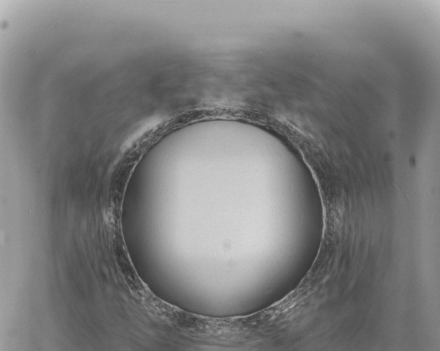 X0000060761254200511171139