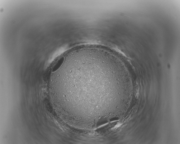 X0000060761255200511171139