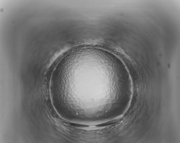 X0000060761256200511171139