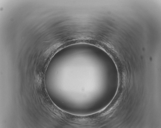 X0000060761257200511171139