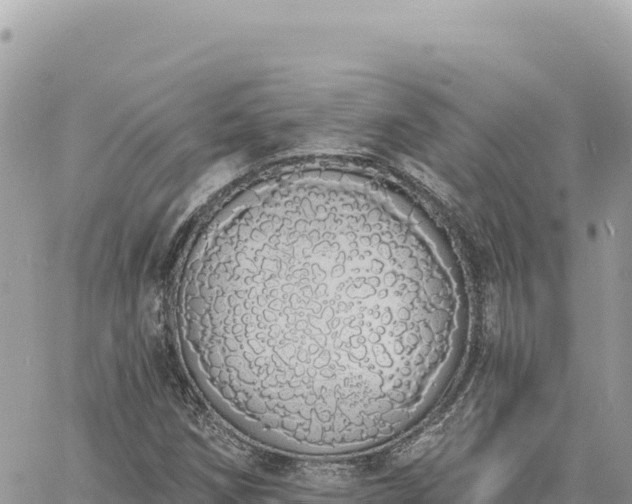 X0000060761258200511171139