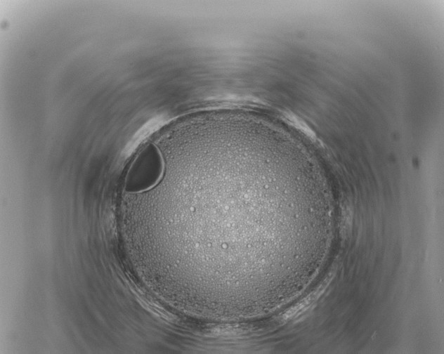 X0000060761259200511171139