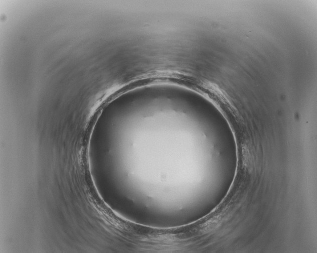 X0000060761260200511171139