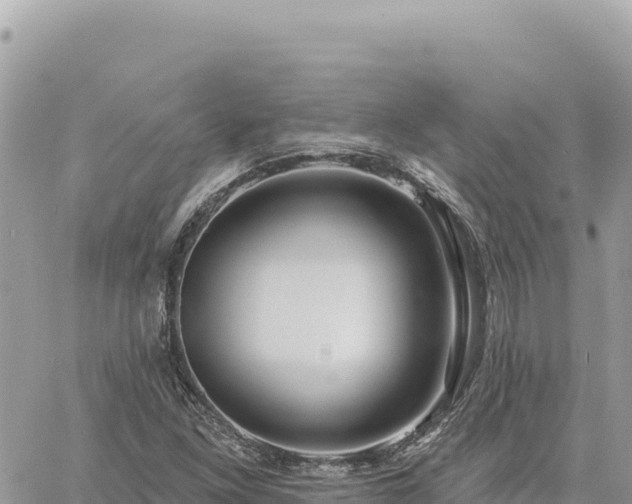 X0000060761261200511171139