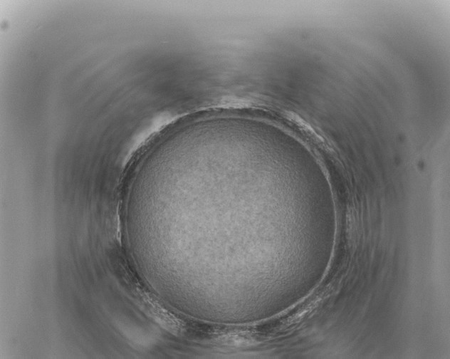 X0000060761262200511171139