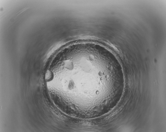 X0000060761263200511171139