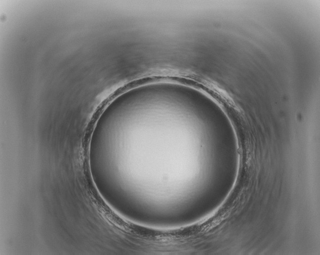 X0000060761264200511171139