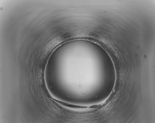 X0000060761265200511171139