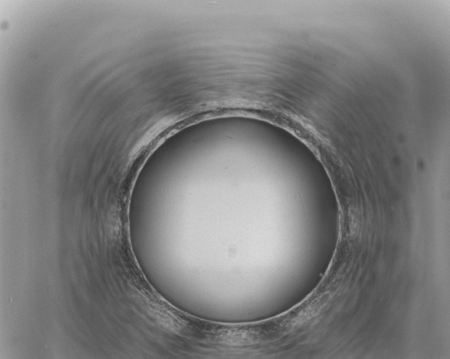 X0000060761266200511171139