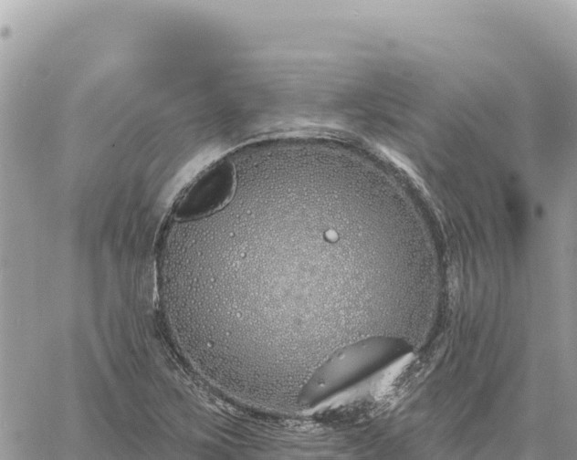 X0000060761267200511171139