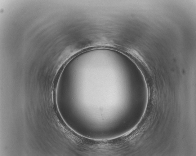 X0000060761268200511171139