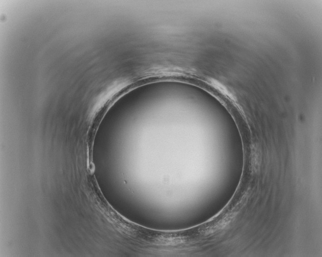 X0000060761269200511171139