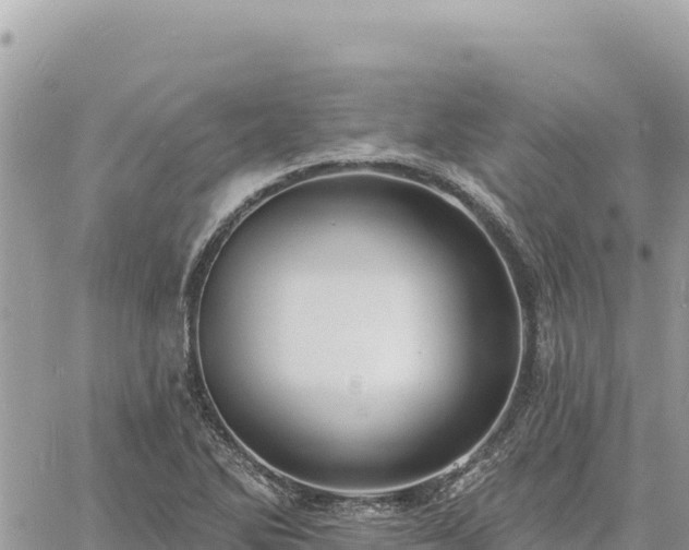 X0000060761270200511171139