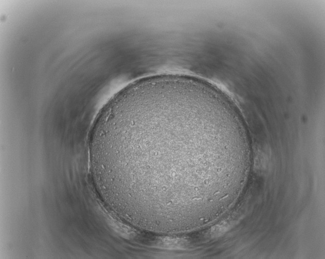 X0000060761271200511171139