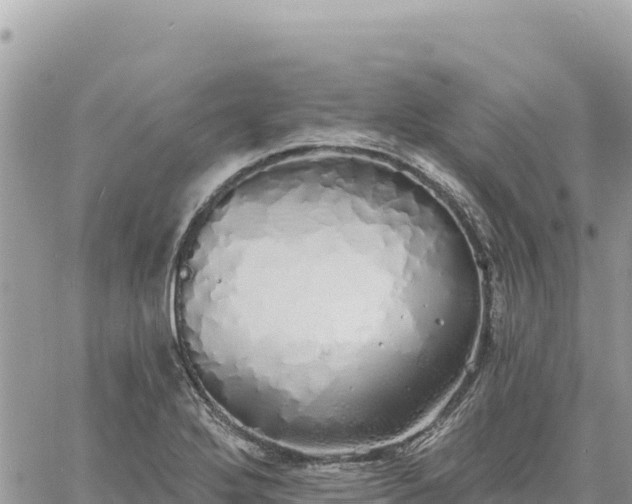 X0000060761272200511171139