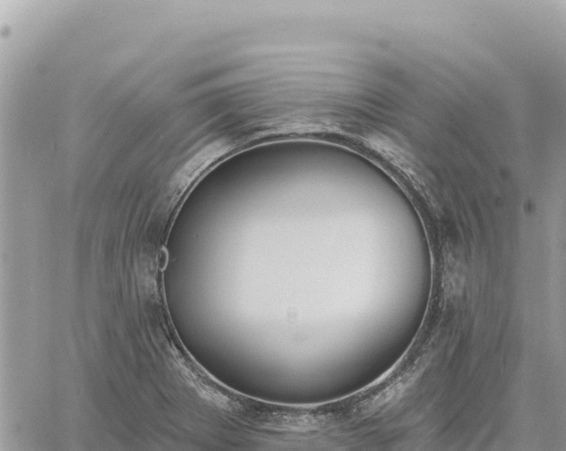 X0000060761273200511171139