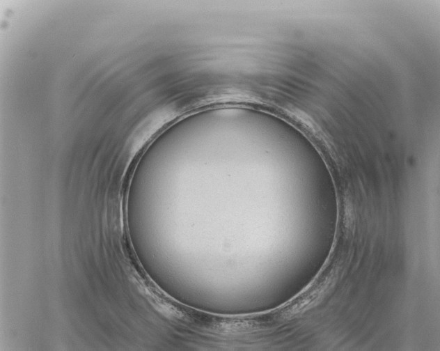 X0000060761274200511171139