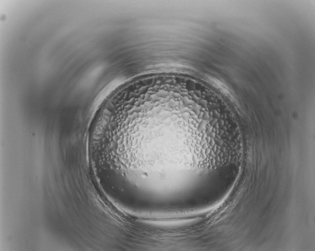 X0000060761275200511171139