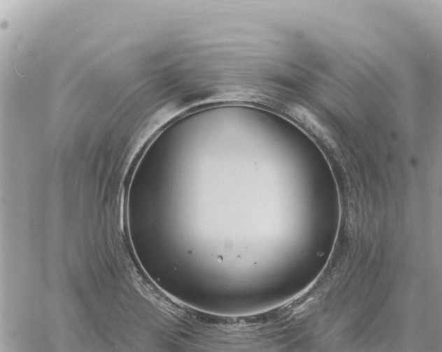 X0000060761276200511171139