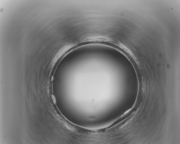 X0000060761277200511171139