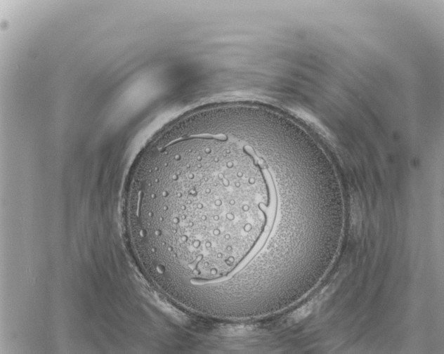 X0000060761278200511171139