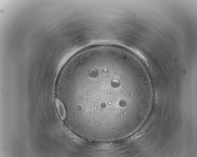 X0000060761279200511171139