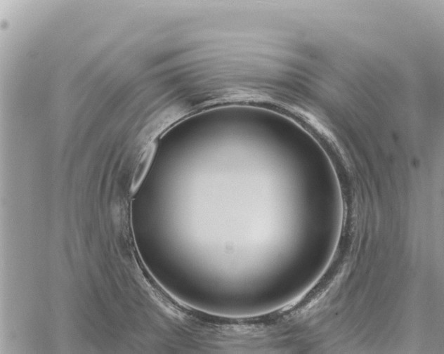 X0000060761281200511171139