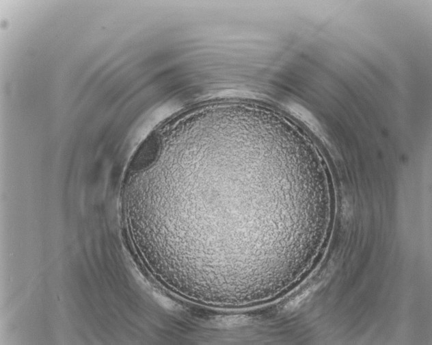 X0000060761282200511171138