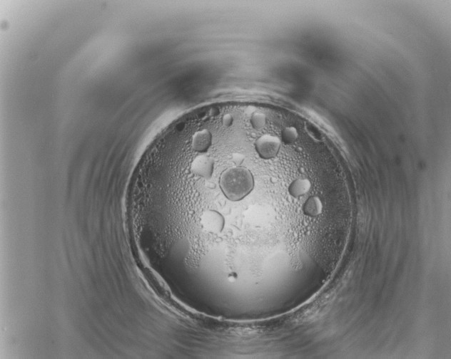 X0000060761283200511171138