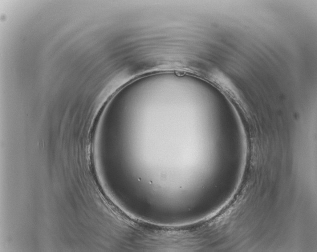 X0000060761284200511171138