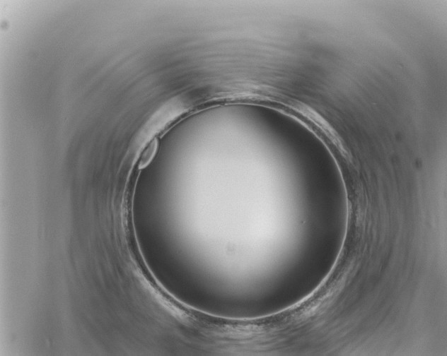 X0000060761285200511171138