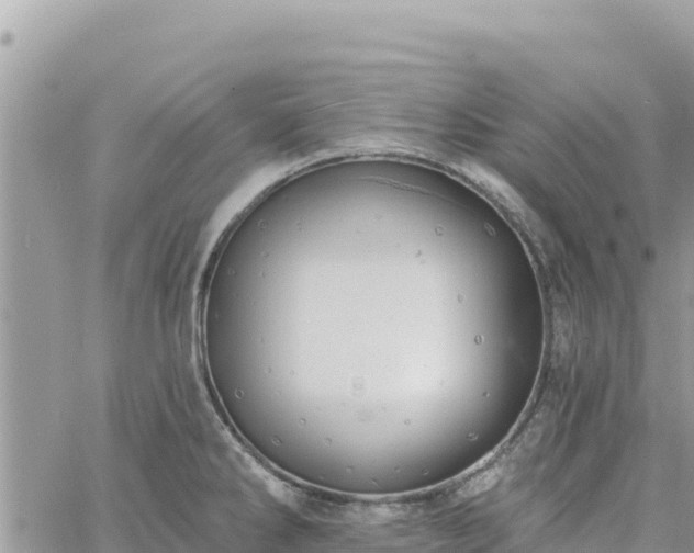 X0000060761286200511171138