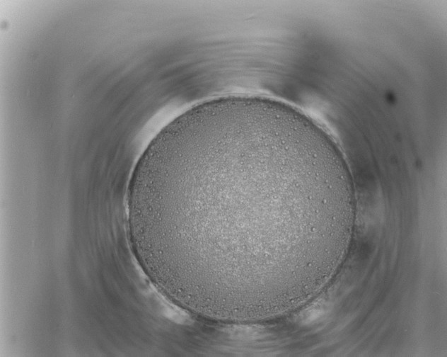 X0000060761287200511171138