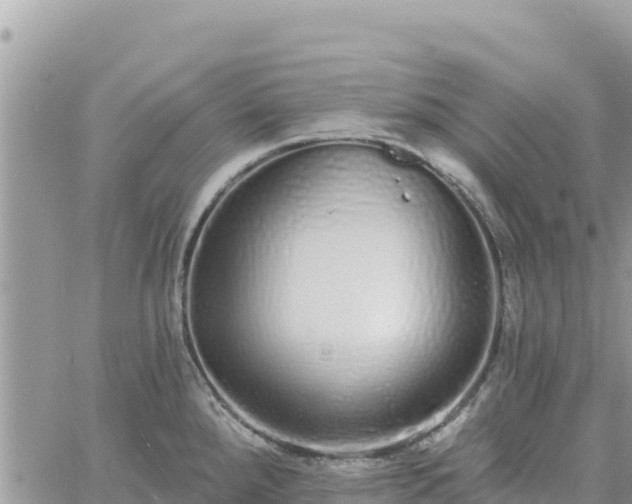 X0000060761288200511171138