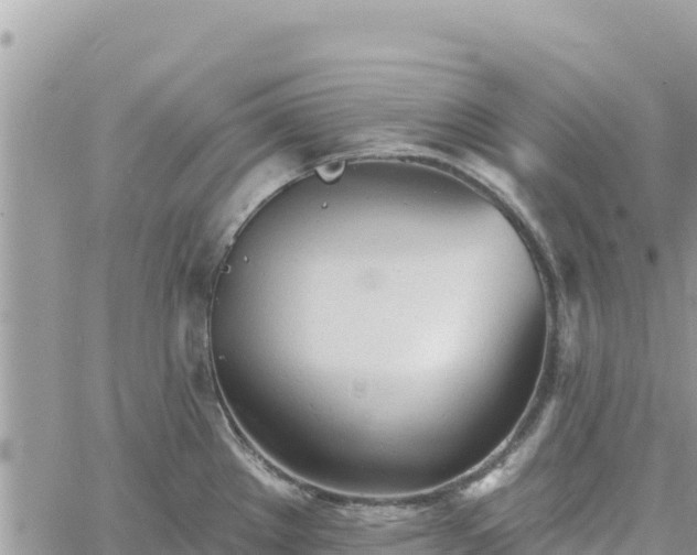 X0000060761289200511171138