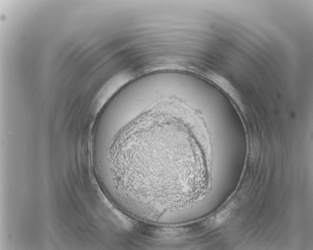 X0000060761290200511171138